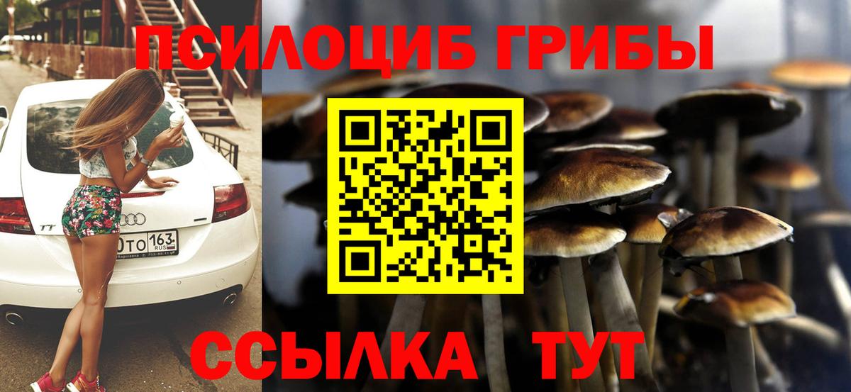 Псилоцибиновые грибы Psilocybine cubensis  Псилоцибиновые грибы Psilocybe  Прохладный  Вход с VPN 